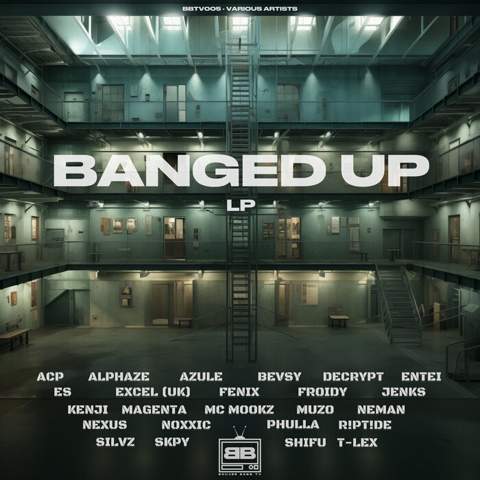 Banged Up LP  Various